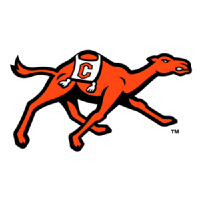 德州大学阿灵顿分校